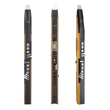 GREATEN AP 300 Pro Electronic Wind Instrument with Bulit in OTG Recording and LCD Display Screen. 108 Global Tones Digital Saxophone with 6000Ah Battery and Bluetooth. (Golden)