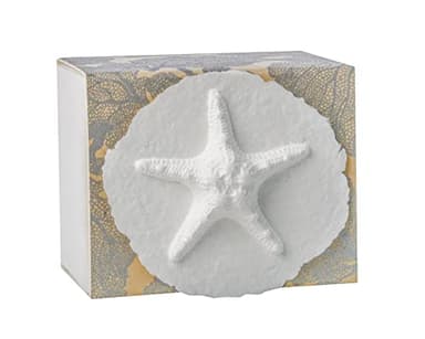 Earth Memorials The Favorite Place Biodegradable Urn for Human Ashes, Small Starfish Urn Box with Silver Coral