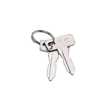 Golf Cart Keys Club Car Replacement (2 Pack)