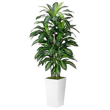 Artificial Dracaena Plant Indoor 5FT - Fake Tree with White Tall Planter - Faux Yucca Tall Fake Floor Plant in Pot - Artificial Trees for Home Office Living Room Decor Indoor