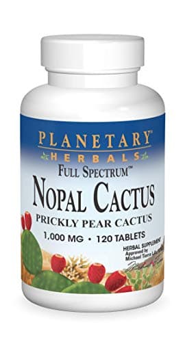 Planetary Herbals Full Spectrum Nopal Cactus, Prickly Pear Cactus, 1000 mg, with Prickley Pear Leaf - 120 Tablets