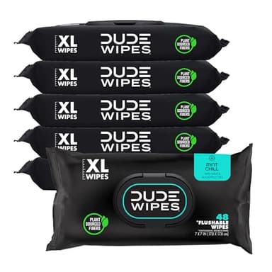DUDE Wipes - Flushable Wipes - 6 Pack, 288 Count - Mint Chill - Vitamin-E, Aloe, Eucalyptus & Tea Tree Oils - Septic and Sewer Safe