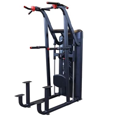 Body Solid (S2ACDX-2) Pro Clubline Series II Chin and Dip Machine, Commercial and Home Fitness Equipment, Pull Up Station and Dip Bars for Strength Training, 235 Lb. Weight Stack
