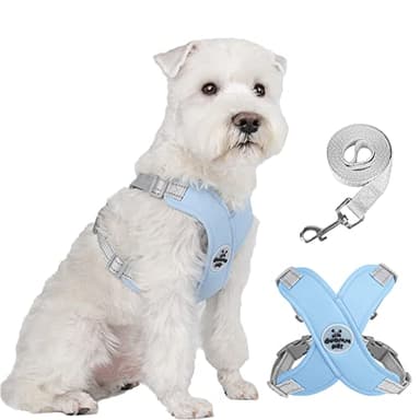FEimaX Dog Harness Pet X Frame No Pull Step-in Harnesses with Leash Set, Adjustable Reflective Choke Free Puppy with Padded Vest for Small, Medium Dogs and Cats Walking Training