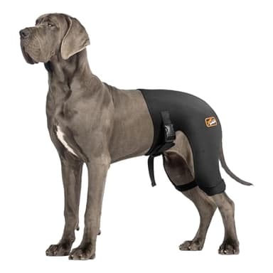 Dog Hip Brace with Hot/Cold Compress, Support for Hip Dysplasia, Arthritis, Back Leg limping, Prevents Hip Joint Issues, Reduce Hip Pain etc(Female Dog, XXL)