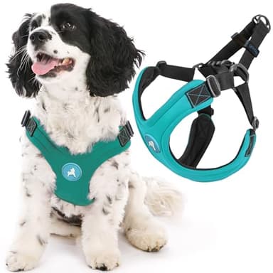 Gooby Escape Free Sport Harness - Turquoise, Small - No Choke Step-in Patented Neoprene Dog Harness with Four-Point Adjustment for Small to Medium Dogs