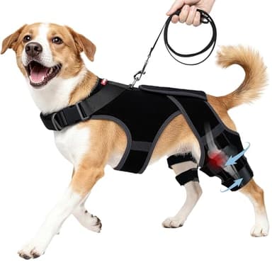 seangonna Dog Knee Brace for Torn ACL/CCL Hind Leg,Adjustable Hip Brace-Hip Dysplasia Brace-Wound Care-Reduces Pain and Inflammation-Lick Prevention (M)