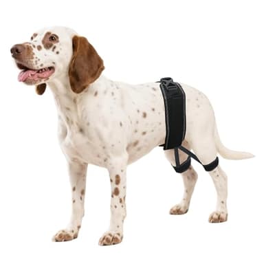 Dovanor Dog Hip Orthotics Brace, Dog Hip Dysplasia Brace, Support for Hip Dysplasia, Arthritis, Luxating Patella, Back Leg limping, Relieve Hip Pain and Orthodontic Assistance - Small