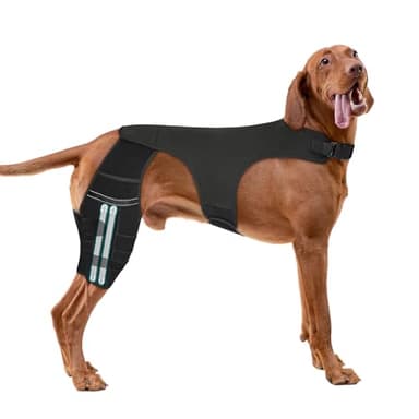 Adjustable Dog Knee Brace for ACL Tear and Arthritis Recovery - Dual Hind Leg Support with Harness Connection - Orthopedic Leg Wrap for Joint Stability and Pain Relief in Small to Large Dog (L)