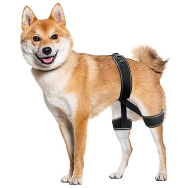 CHAMIN Dog Hip Brace – Support Harness for Hip Dysplasia, Joint Pain Relief, Prevents Hip Joint Issues, Orthopedic Support for Dogs(Large)