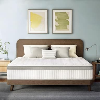 ETONEX 12 Inch Queen Hybrid Mattress in a Box Gel Memory Foam and Pocket Springs for Pressure Relief with Medium Firm CertiPUR-US Certified (Queen, 12in)