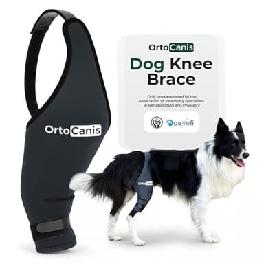 Ortocanis Dog Knee Brace for Hind Leg Support – Flexible Neoprene Knee Brace for Dogs with Joint Instability, Torn ACL, Limping or Osteoarthritis – Comfortable Support for Recovery (Medium, Left Leg)