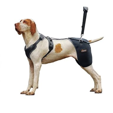 LISPOO Dog Hip Support Brace - Adjustable Dog Leg Brace for Hip Dysplasia/Arthritis/Pain Relief, Warm & Breathable Luxating Patella Stabilizer, Post-Surgery Recovery(Size L)