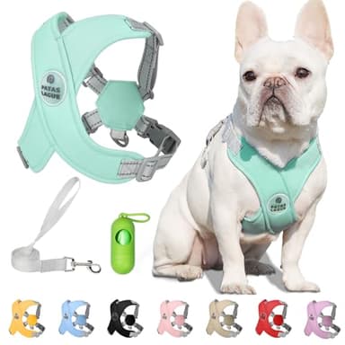 Patas Lague Dog Harness with Leash Set Adjustable Soft Padded Step-in Dog Vest No Choke No Pull Reflective for Small Medium Pets with Poop Bags and Dispenser, Solid and No-chew, Green M