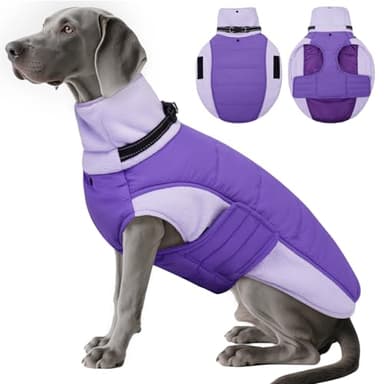 DENTRUN Dog Coat with Collar Built in - Heavy Duty Windproof Dog Jacket, Plush Fleece Lining & D-Ring, Adjustable Fit for Labrador, Golden Retriever, Cold Weather, Purple, XL