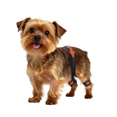 Yinchogee Dog Hip Brace for Hip Dysplasia, Adjustable Dog Hip Support Brace with Targeted Compression, Stabilizes Joints, Relieves Pain from Arthritis, S