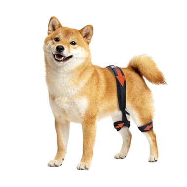 Yinchogee Dog Hip Brace for Hip Dysplasia, Adjustable Dog Hip Support Brace with Targeted Compression, Stabilizes Joints, Relieves Pain from Arthritis, M