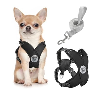 Pawaboo Small Dog Harness and Leash Set, Puppy Harness X-Frame No Pull No Choke, Dog Vest Harnesses Adjustable for Small Medium Sized Dogs, Soft Breathable Pet Harnesses for Walking Outing (S, Black)