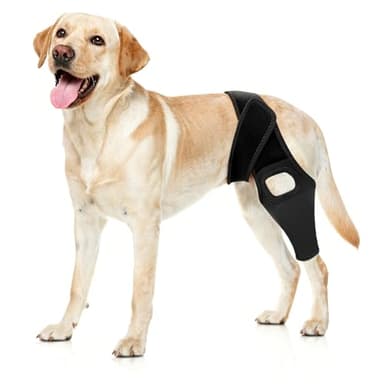 Jorme Dog Knee Brace for Torn ACL, Dog Leg Brace for Post-Surgery Recovery, Arthritis & Luxating Patella,Side Stabilizers, Breathable Neoprene, Adjustable Velcro & Belly Band,Front/Rear Legs (L)