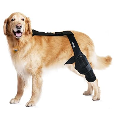 MerryMilo Dog Knee Brace for Torn ACL Hind Leg, Canine Leg Support for ACL/CCL & Cruciate Ligament Conditions, Arthritis Support, Adjustable & Durable, Black, Size Large