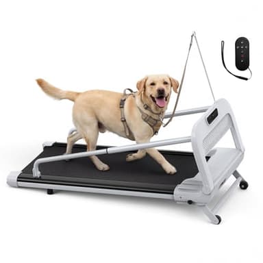 Lastforever Dog Treadmill for Small & Medium Dogs, Quiet 2.5HP Motor, Remote Control, LED Display, Indoor Pet Exercise Treadmill with Safety Leash (Small/Medium/Large/6.5MPH/Incline)