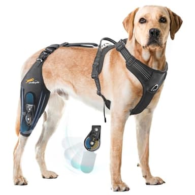 Dog Knee Brace for torn acl hind leg with Adjustable Hinge Stabilizer, Dog back brace for Osteoarthritis, Dog leg brace Support for Cruciate Ligament Injury,Recovery After,Patent Pending(Right Leg,L)