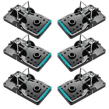 Large Rat Traps, Set of 6, Reusable Pest Control Solutions for Trapping Against Mouse, Chipmunk, and Squirrel. Instant Humane Kill Rodent Snap Trap That Work