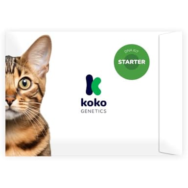 Koko Genetics Starter DNA Test for Cats, Analyzes & Identifies 40+ Breeds and Offers 46+ Genetic Traits and Ancestry Reports, Lifetime Updates Included