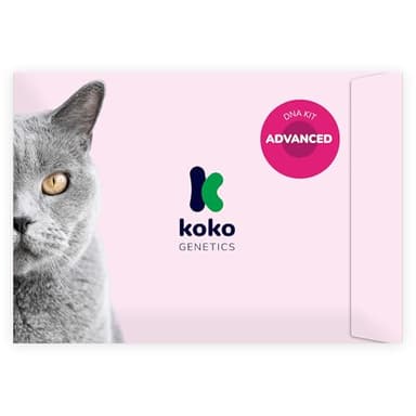 Koko Genetics Advanced DNA Test for Cats, Analyzes & Identifies 40+ Breeds, Ancestry, Offers 146+ Genetic Health and Traits Reports, Lifetime Updates Included