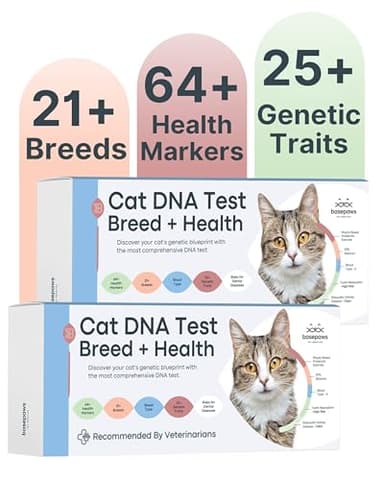 Basepaws Cat DNA Test Kit 2 Pack- Comprehensive Breed, Health and Dental Analysis Across 114 Traits for Accurate and Easy-to-Use Genetic Insights
