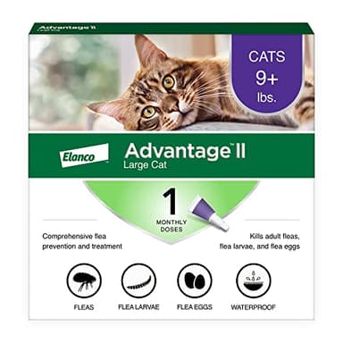 Advantage II Large Cat Vet-Recommended Flea Treatment & Prevention | Cats Over 9 lbs. | 1-Month Supply
