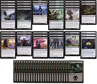 MTG Decks & More Compatible with Magic: The Gathering: Elite Mono Black Devotion Deck - Very Powerful - Modern & Pioneer Legal - Custom Built - Magic The Gathering - MTG - 60 Card!